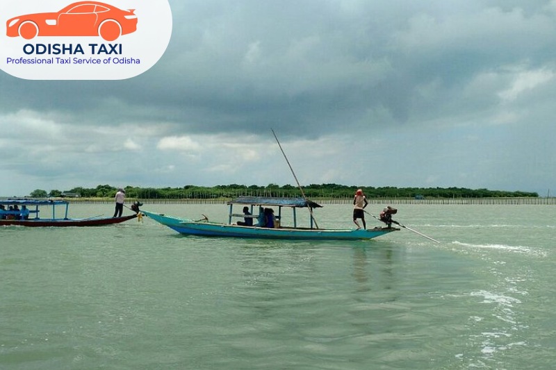Top Travel Agency in Bhubaneswar | Odisha Taxi Tours