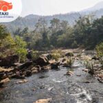 Top 10 Car Rental Services in Bhubaneswar – Wildlife Tour