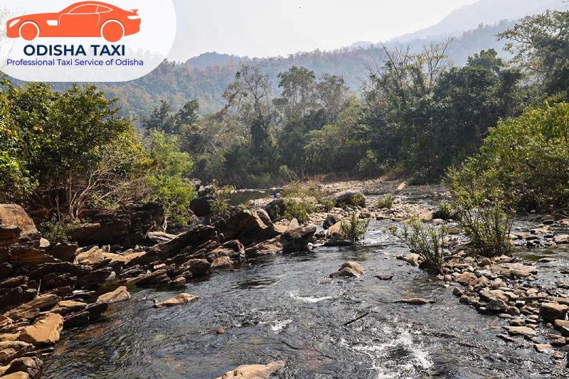 Everything You Should Know About Odisha Wildlife Tour