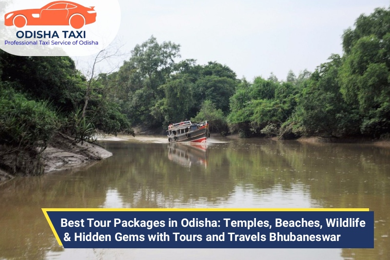 Best Tour Packages in Odisha: Temples, Beaches, Wildlife & Hidden Gems with Tours and Travels Bhubaneswar