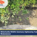 Bhitarkanika Tour – Tours and Travels Bhubaneswar