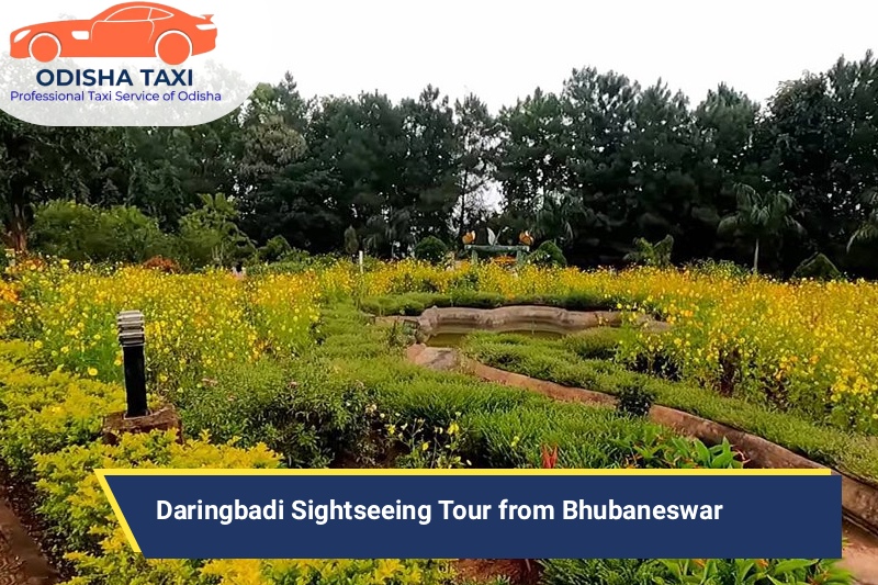 Daringbadi Sightseeing Tour from Bhubaneswar